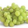 grape vinegar