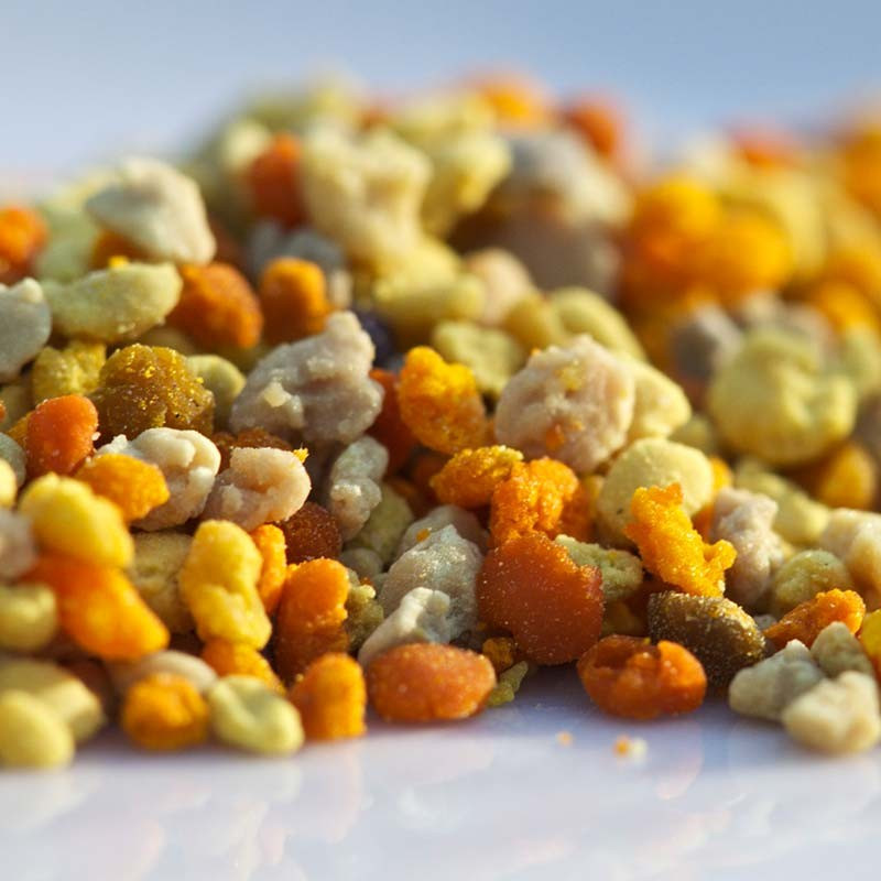 Bee Pollen